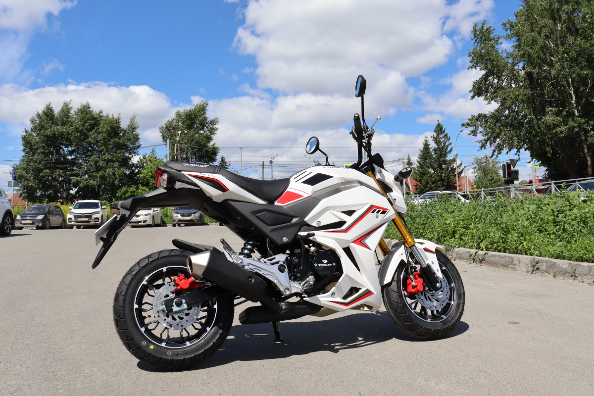 Мотоцикл PROMAX STRYKER 200(49) 2.0 в Артёме