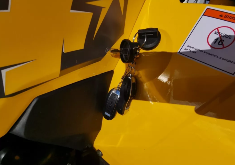 Квадроцикл MOTOLAND (МОТОЛЕНД) VOX200 WILD TRACK X PRO (баланс. вал) в Артёме