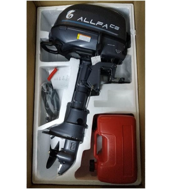 Лодочный мотор ALLFA CG F6 в Артёме