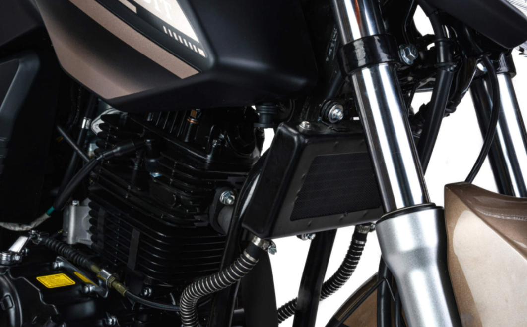 Мотоцикл MOTOLAND (МОТОЛЕНД) 300 BANDIT в Артёме