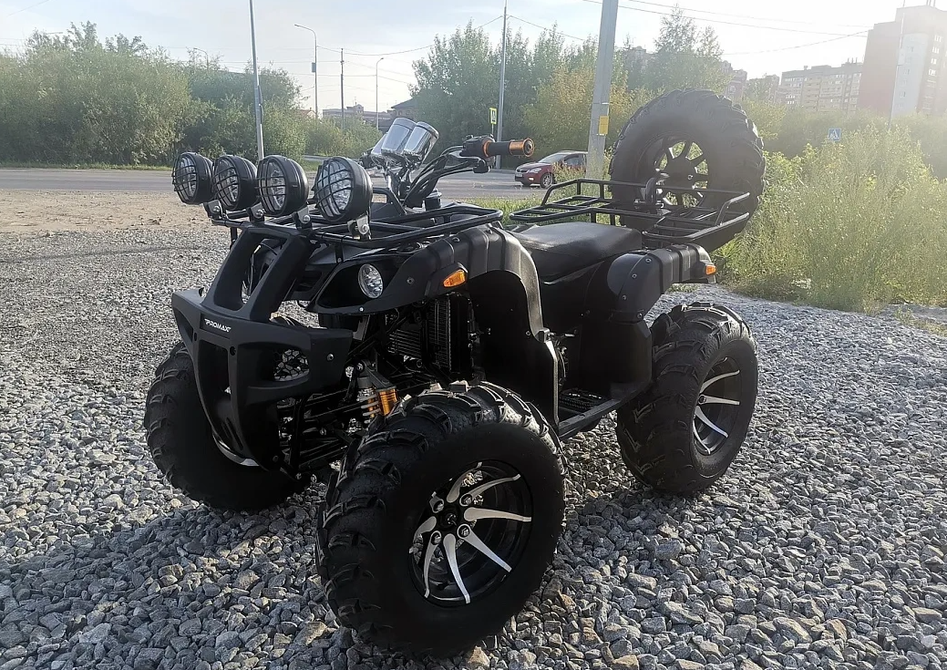 Квадроцикл PROMAX LEO 300 Max (кардан) в Артёме
