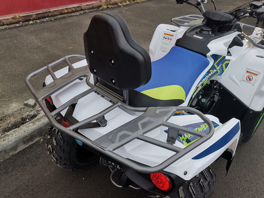 Квадроцикл PROMAX RENEGADE 280 LUX (2025) в Артёме