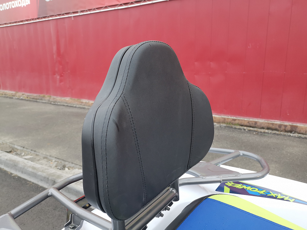 Квадроцикл PROMAX RENEGADE 280 LUX (2025) в Артёме