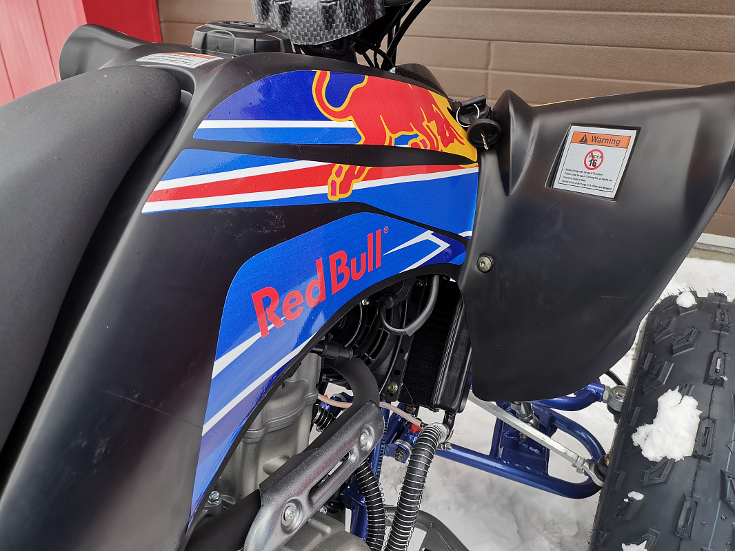Квадроцикл PROMAX RAPTOR 300 NEW RedBull в Артёме