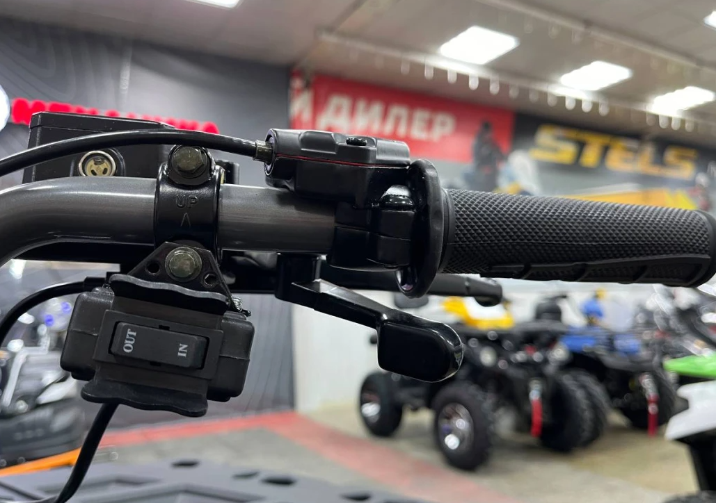 Квадроцикл PROMAX RENEGADE 300 LONG WINCH PRO (2025) в Артёме