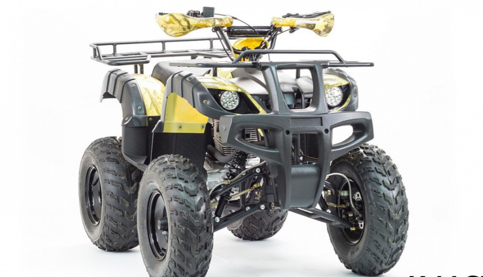 Квадроцикл MOTOLAND (МОТОЛЕНД) 250 ADVENTURE в Артёме