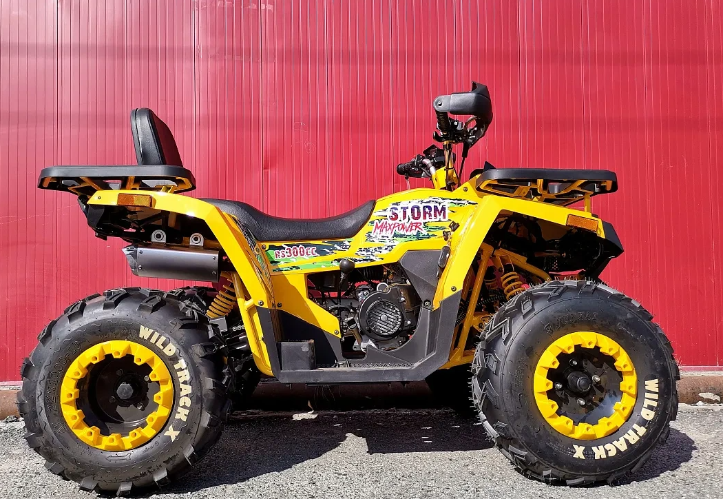 Квадроцикл PROMAX STORM 280 LUX в Артёме