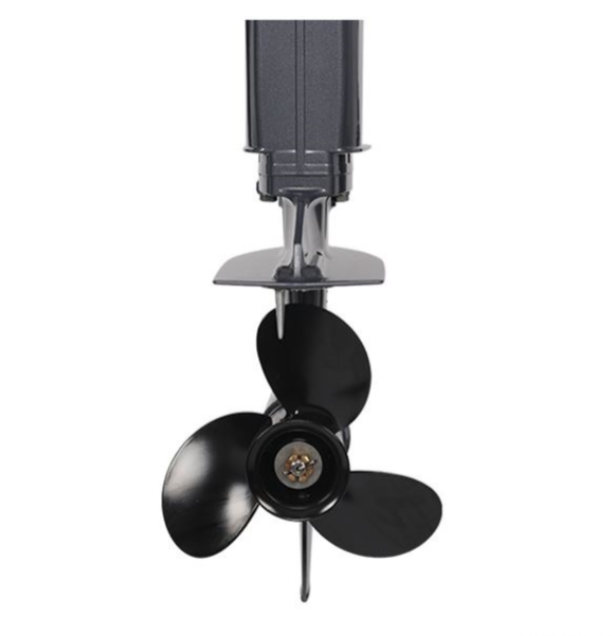 Лодочный мотор ALLFA CG Т40FW S в Артёме