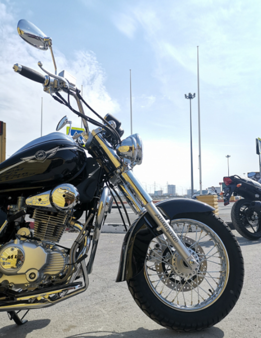 Мотоцикл MOTOLAND (МОТОЛЕНД) WOLF 250 в Артёме