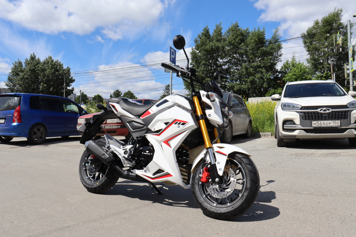 Мотоцикл PROMAX STRYKER 200(49) 2.0 в Артёме