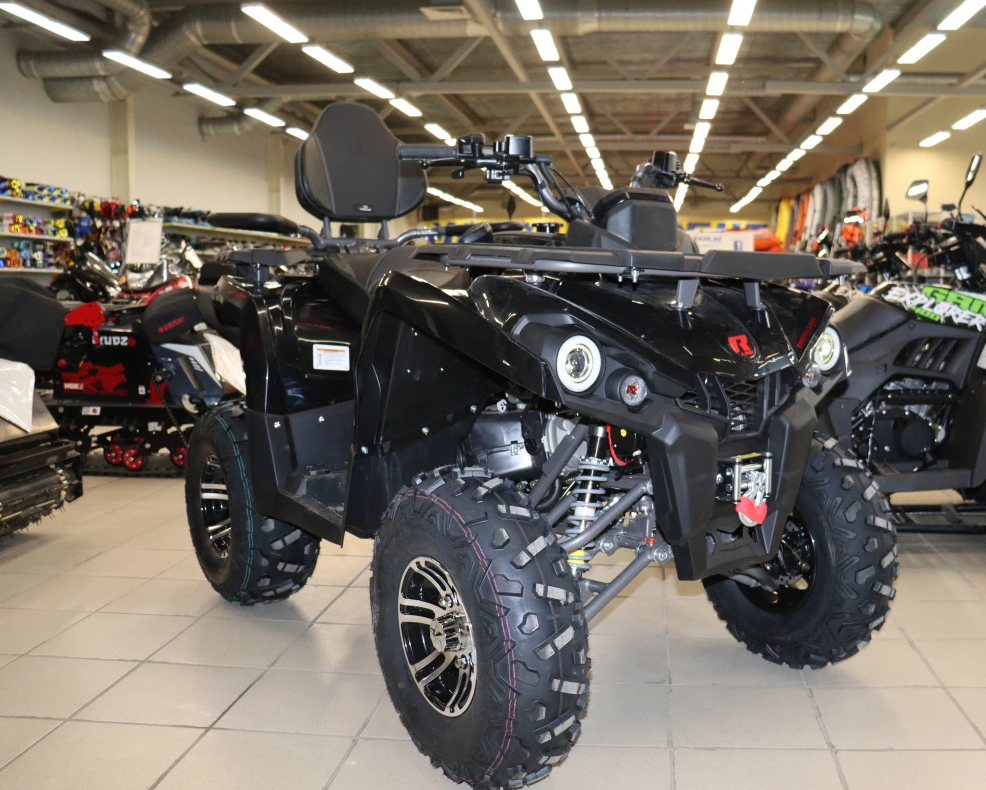 Квадроцикл PROMAX RENEGADE 300 LONG WINCH PRO (2025) в Артёме