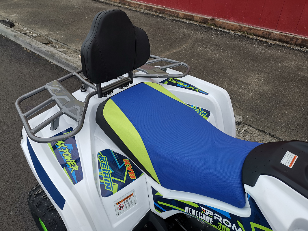 Квадроцикл PROMAX RENEGADE 280 LUX (2025) в Артёме