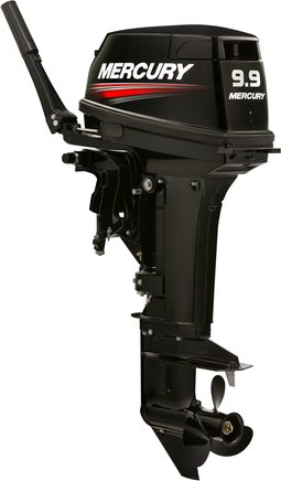 ЛОДОЧНЫЙ МОТОР MERCURY 9.9 MH TMC 247 CC в Артёме