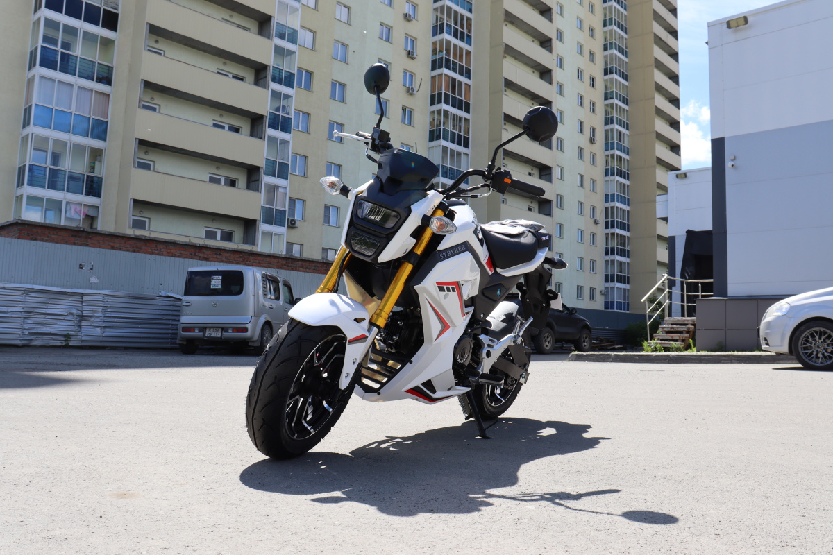 Мотоцикл PROMAX STRYKER 200(49) 2.0 в Артёме
