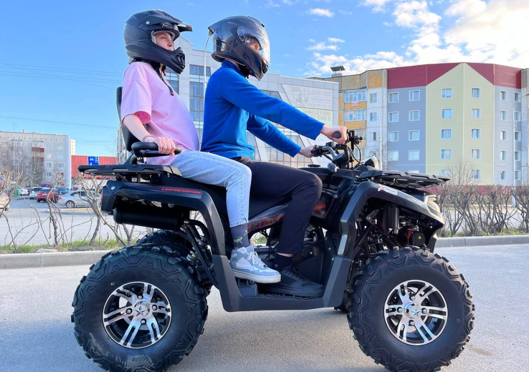 Квадроцикл PROMAX RENEGADE 300 LONG WINCH PRO (2025) в Артёме