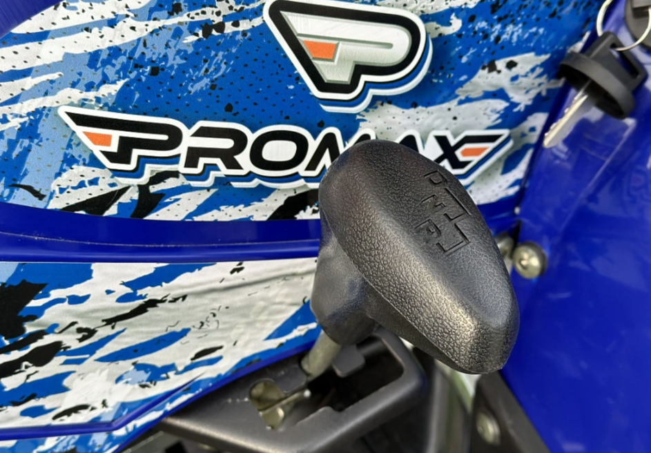  Квадроцикл PROMAX ATV 250 MAX (2025) в Артёме