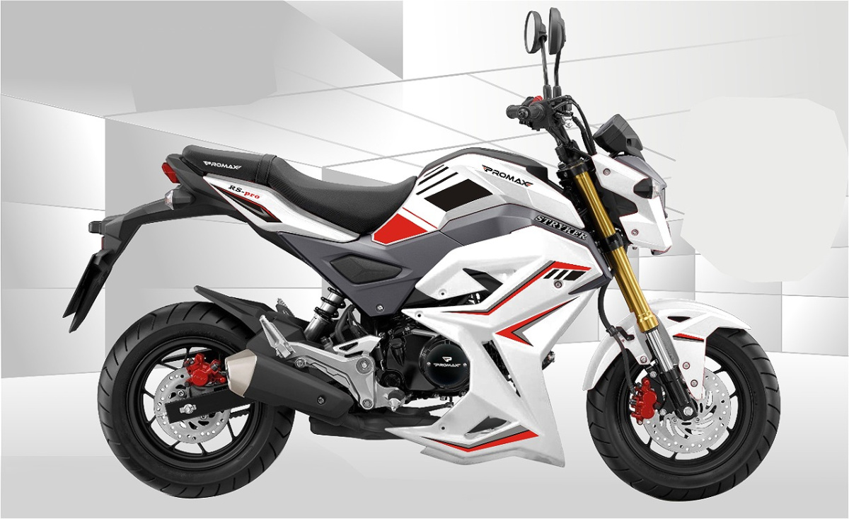 Мотоцикл PROMAX STRYKER 200(49) 2.0 в Артёме