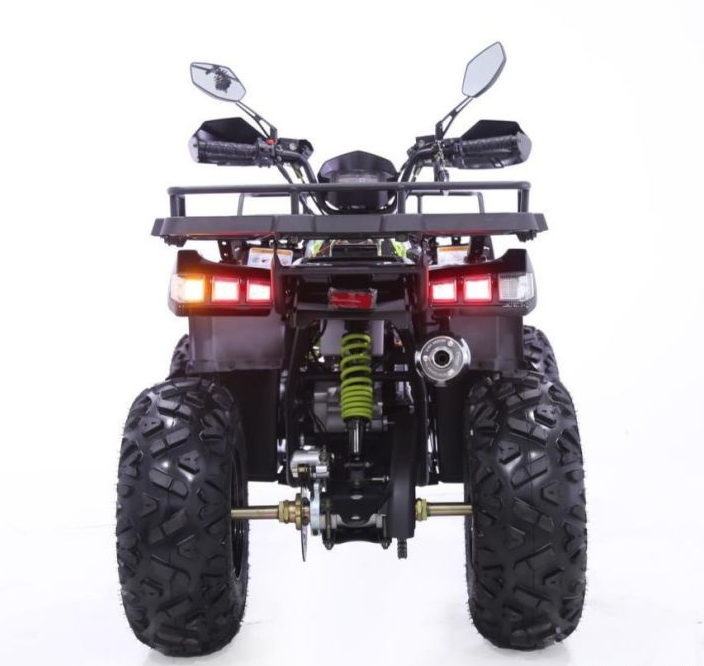 Квадроцикл YACOTA WARRIOR 200 PRO в Артёме