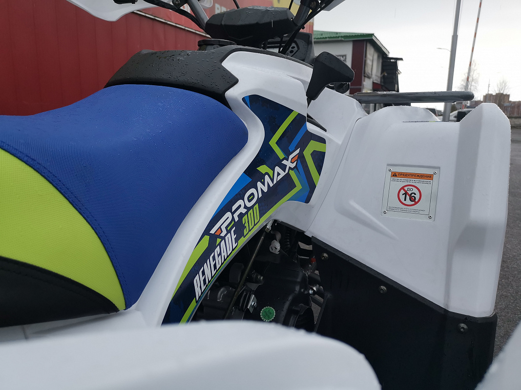 Квадроцикл PROMAX RENEGADE 280 LUX (2025) в Артёме