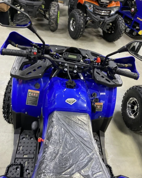 Квадроцикл PROMAX WILD 2.0 190 PRO (2025) в Артёме