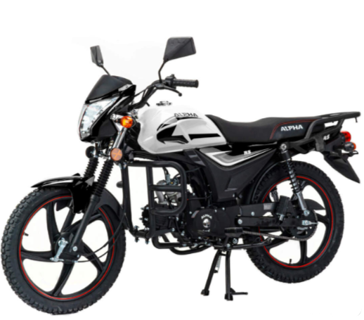 Мопед MOTOLAND (МОТОЛЕНД) Альфа RS 11 (LM48-B) в Артёме