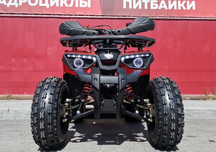 Квадроцикл PROMAX WILD 175 BASIC в Артёме