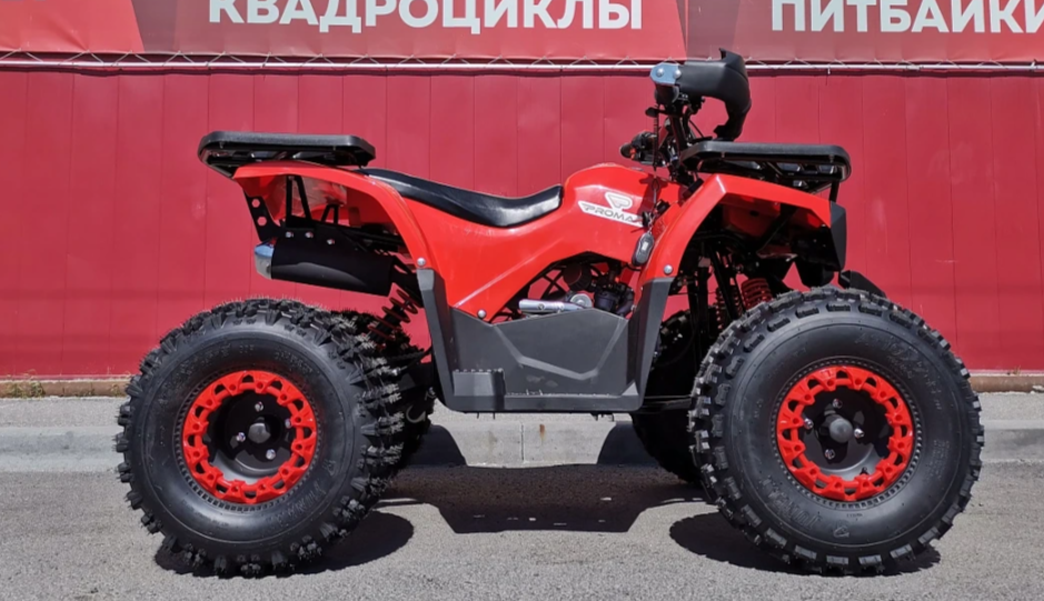 Квадроцикл PROMAX WILD 175 BASIC в Артёме