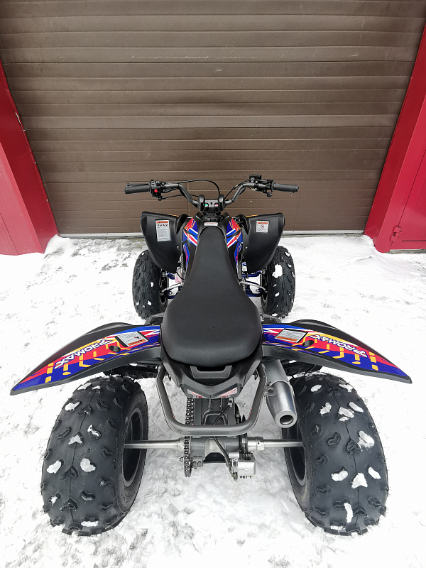Квадроцикл PROMAX RAPTOR 300 NEW RedBull в Артёме