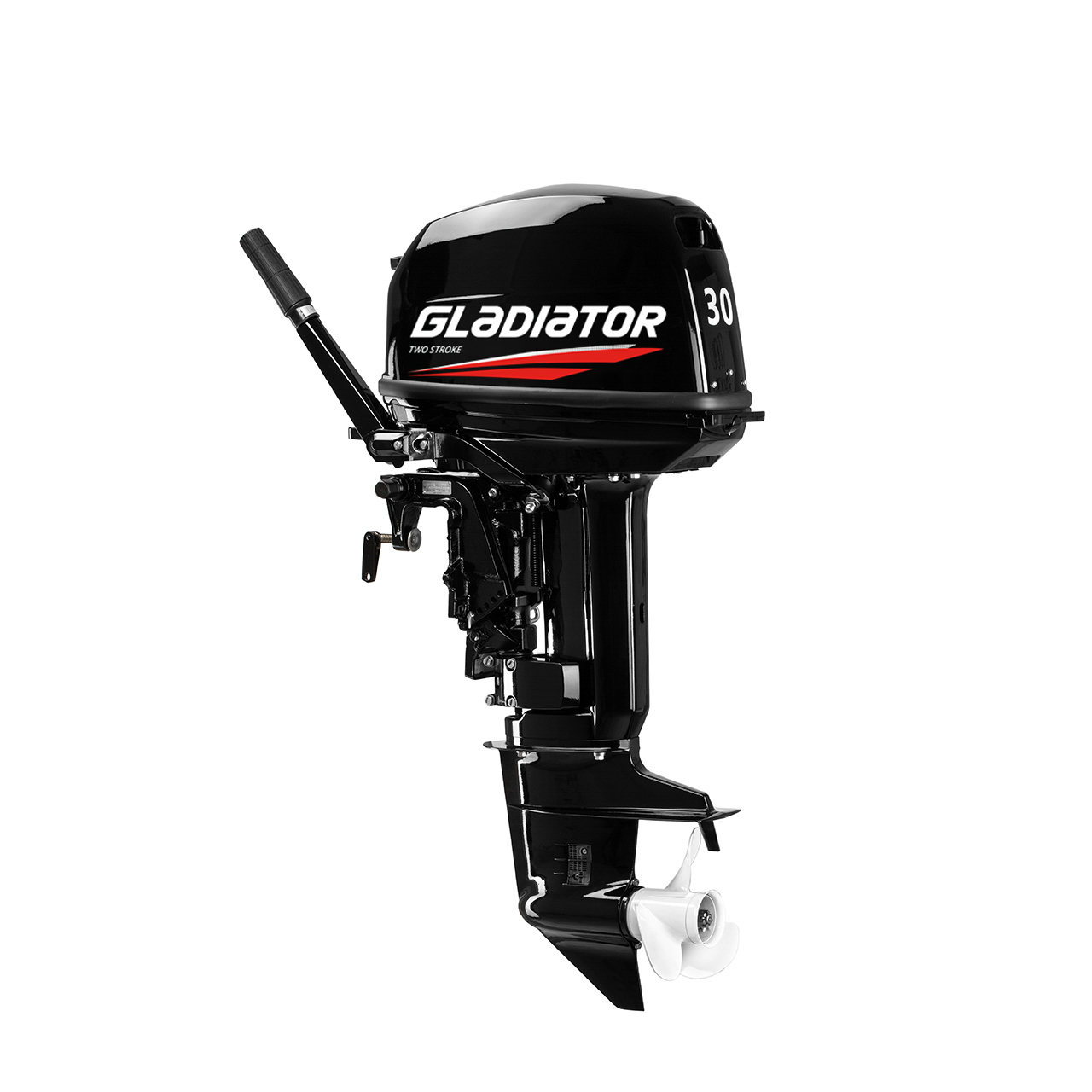 ЛОДОЧНЫЙ МОТОР GLADIATOR G30FHS в Артёме