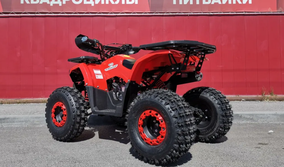 Квадроцикл PROMAX WILD 175 BASIC в Артёме