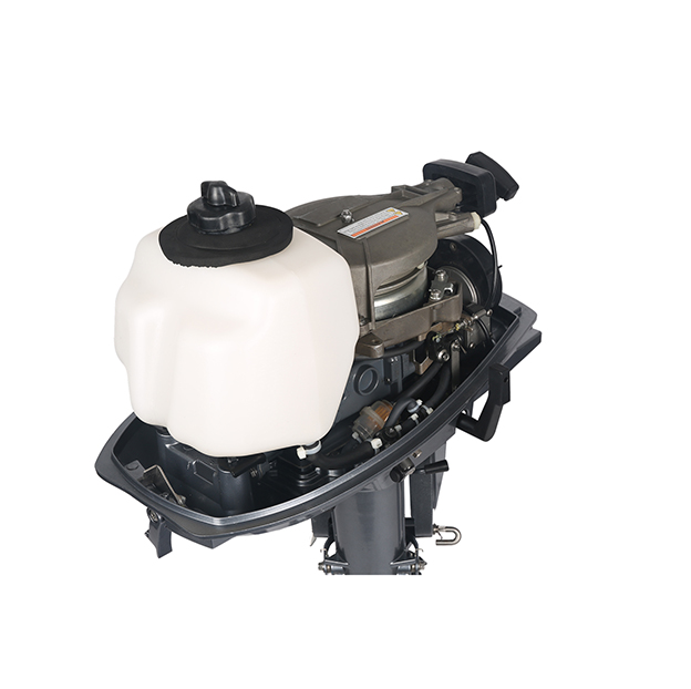 ЛОДОЧНЫЙ МОТОР ALLFA CG T5 в Артёме