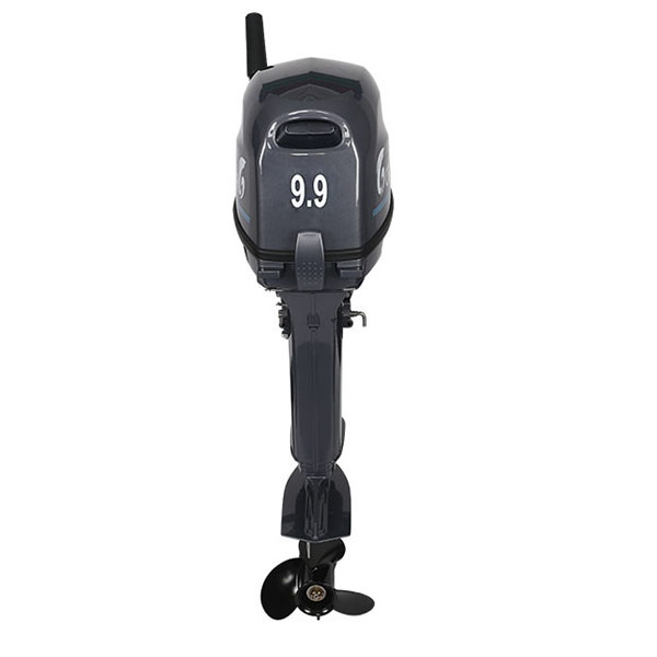 Лодочный мотор ALLFA CG Т9.9(20)MAX в Артёме