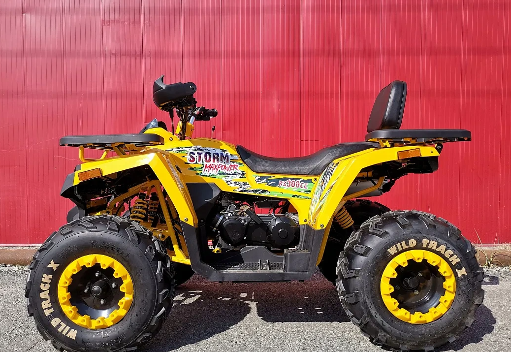 Квадроцикл PROMAX STORM 280 LUX в Артёме