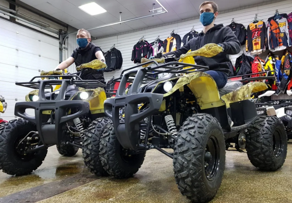 Квадроцикл PROMAX ATV 250 (2025) в Артёме