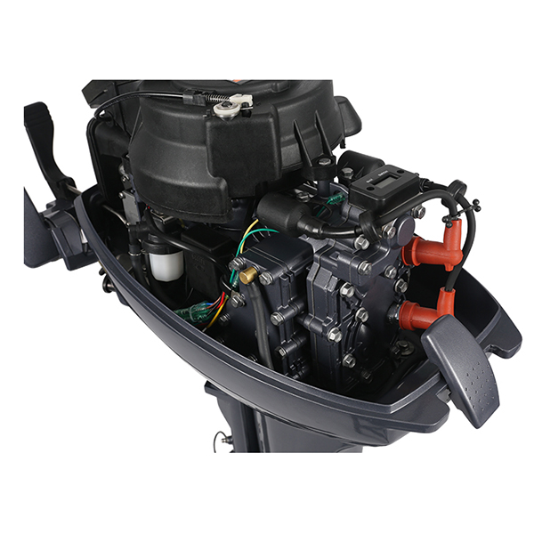 ЛОДОЧНЫЙ МОТОР ALLFA CG Т9,9 Limit в Артёме