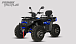 Квадроцикл PROMAX TAURUS 300 MAX-PRO LONG в Артёме