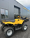 КВАДРОЦИКЛ IRBIS ATV 250  в Артёме