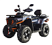 Квадроцикл MOTOLAND (МОТОЛЕНД) 300 MAX X в Артёме