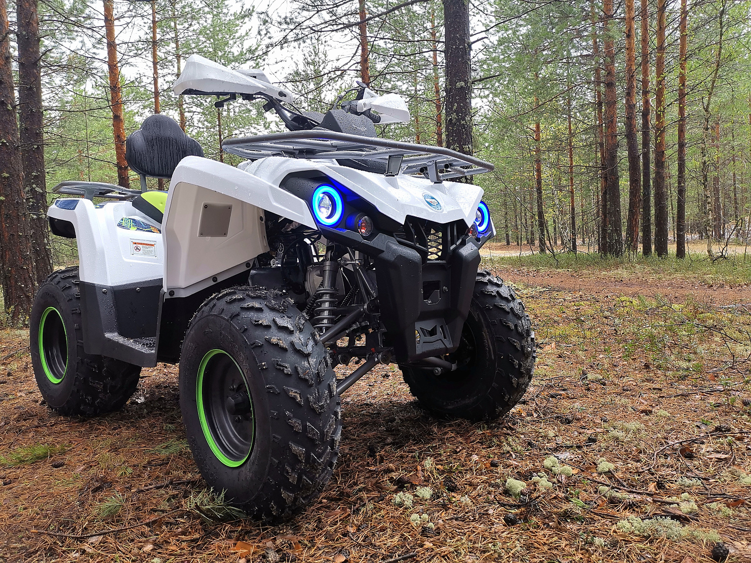 Квадроцикл PROMAX RENEGADE 280 (2025) в Артёме