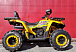 Квадроцикл PROMAX STORM 280 LUX в Артёме