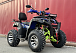  Квадроцикл PROMAX ATV 250 MAX (2025) в Артёме