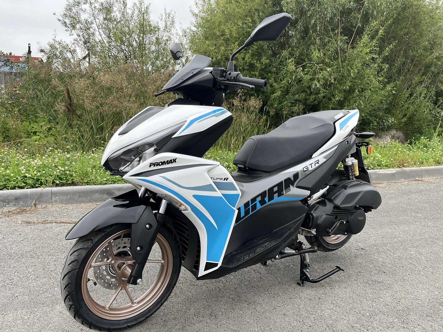 Скутер PROMAX TURAN 250 (49) в Артёме