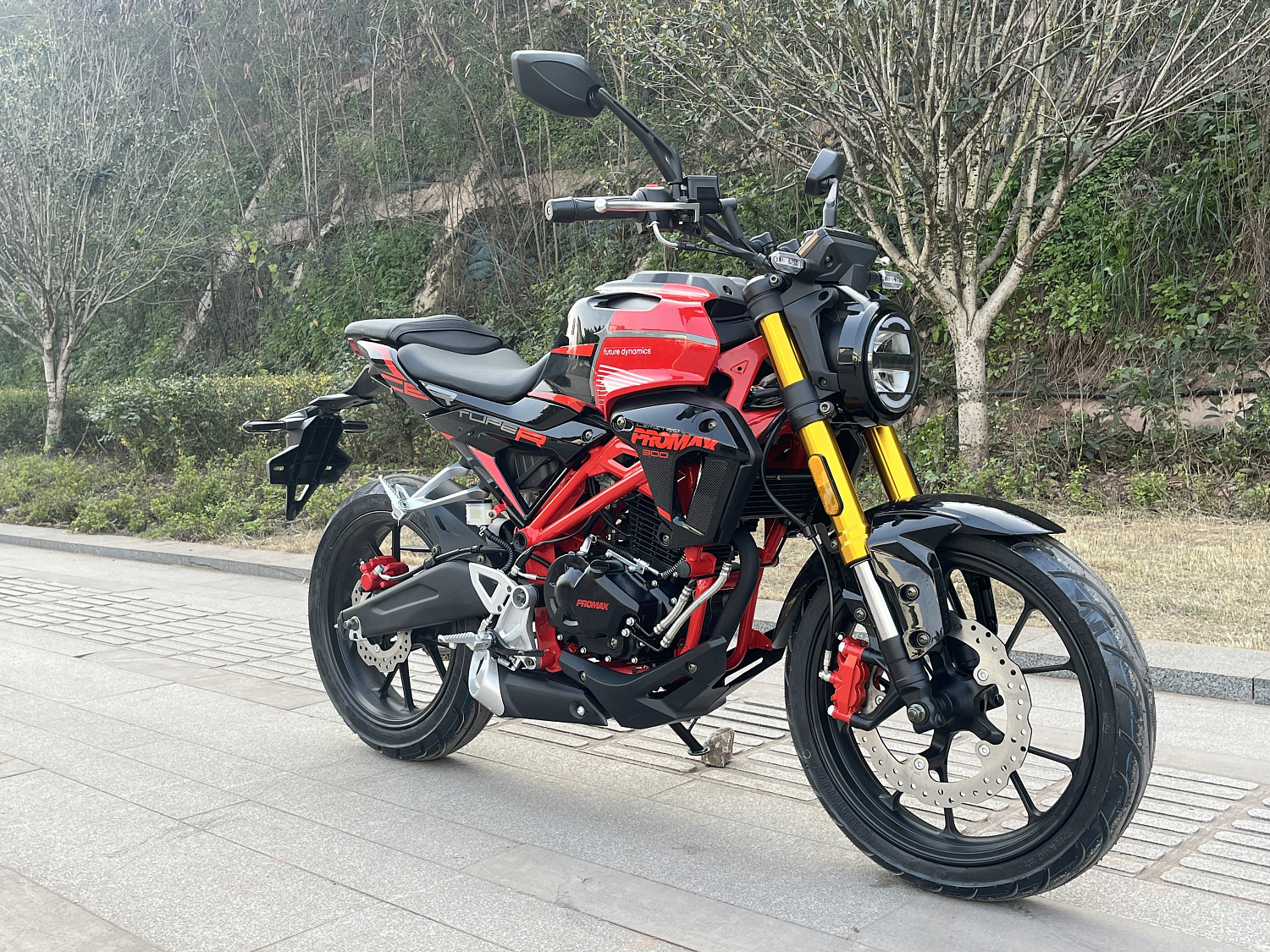 Мотоцикл PROMAX CB300 в Артёме