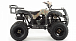 Квадроцикл MOTOLAND (МОТОЛЕНД) 200 ALL ROAD в Артёме