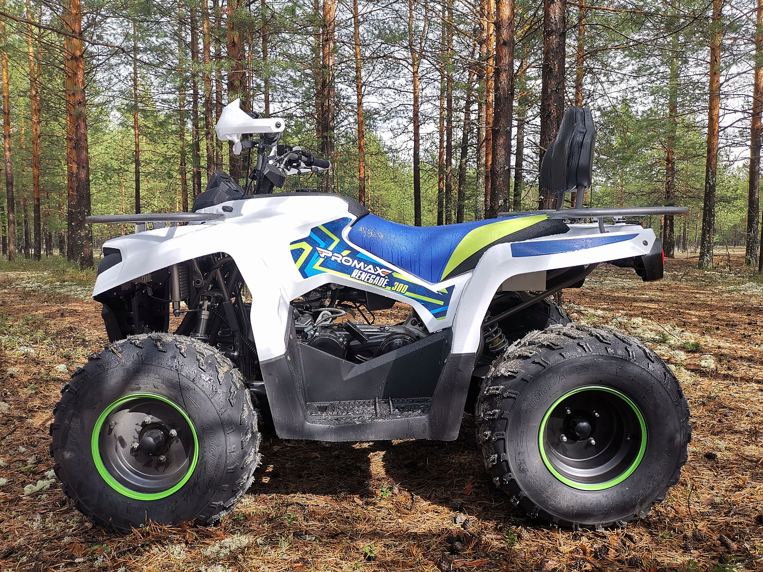 Квадроцикл PROMAX RENEGADE 280 (2025) в Артёме