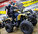 Квадроцикл PROMAX ATV 250 (2025) в Артёме