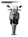 МаксиСкутер PROMAX-HONDA ADV 150 (49) (Inspired by HONDA) в Артёме