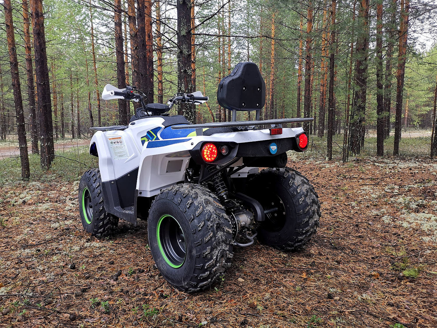 Квадроцикл PROMAX RENEGADE 280 (2025) в Артёме