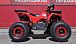 Квадроцикл PROMAX WILD 175 BASIC в Артёме