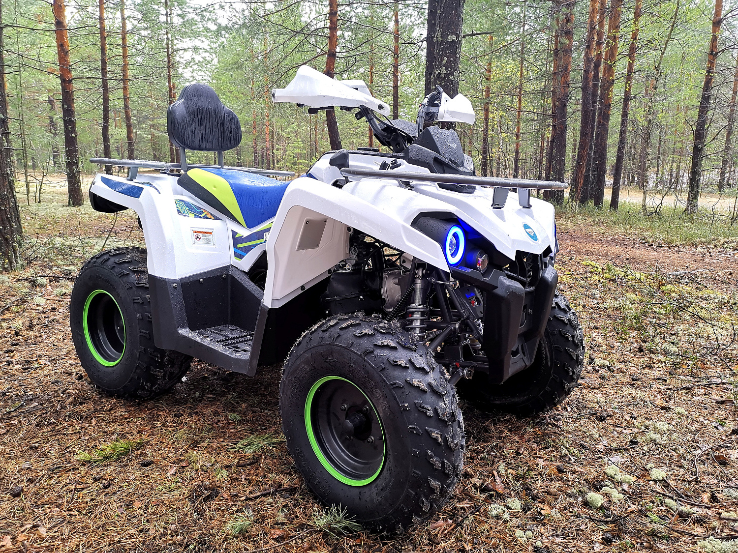Квадроцикл PROMAX RENEGADE 280 (2025) в Артёме